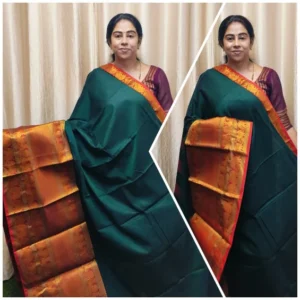 Narayanpet Handloom Mayuri Big Border sarees