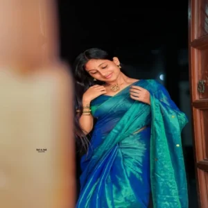 Ginni khadi tissue sarees